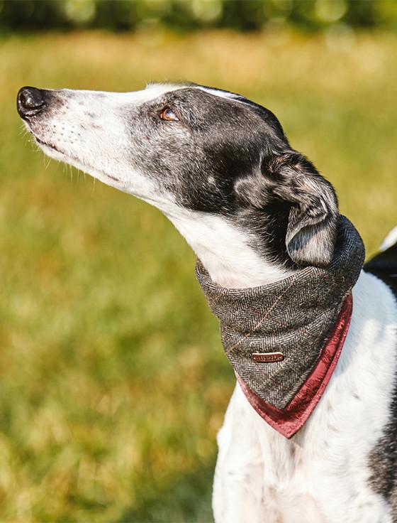 aran cashmere Irish Heritage Tartan Doggy Bandana - Grey Herringbone