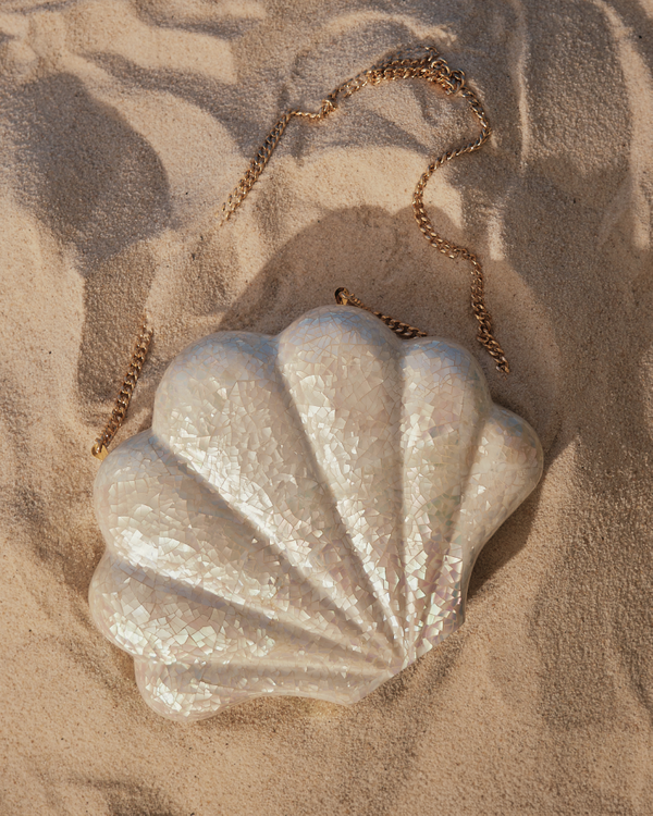 aranáz Almeja aranáz Almeja