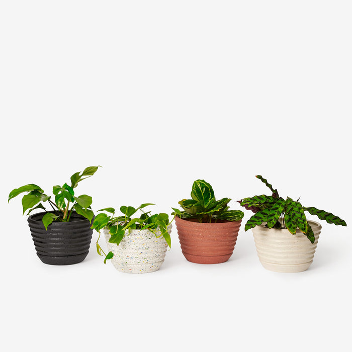 Areaware Frank Lloyd Wright Racine Planter