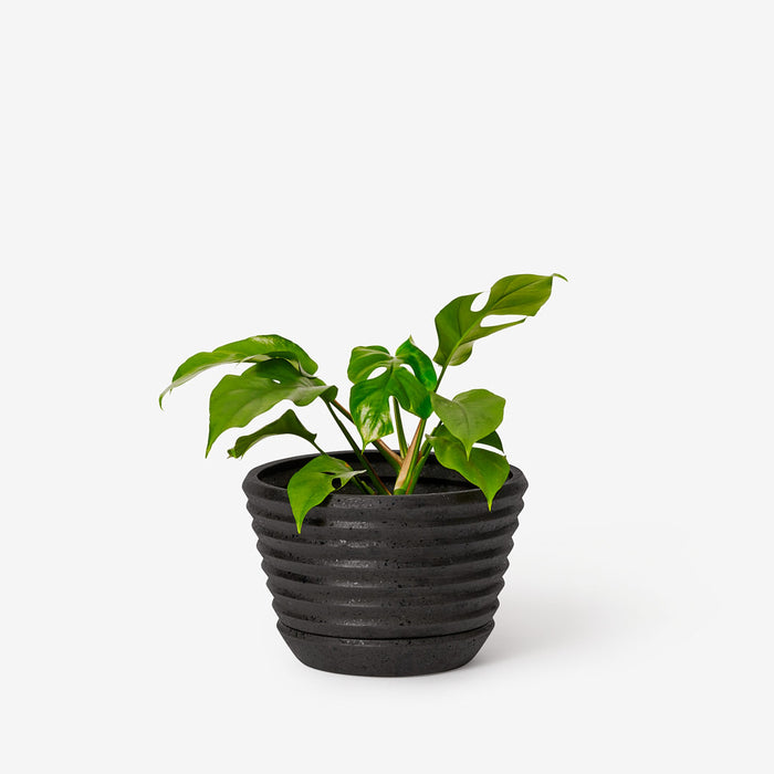 Areaware Frank Lloyd Wright Racine Planter