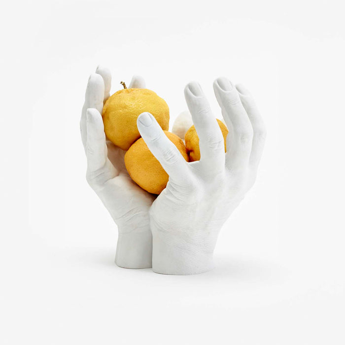 areaware Harry Allen Reality Hand Bowl