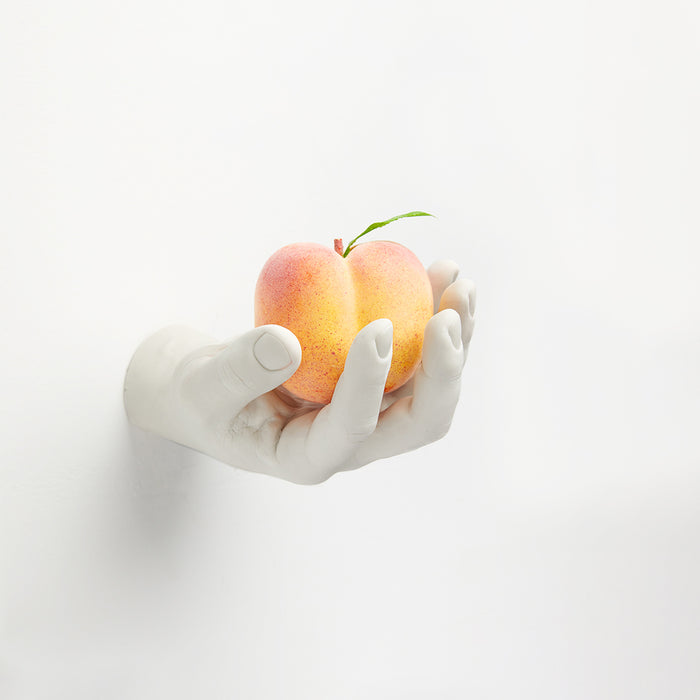 Areaware Harry Allen Reality Hand Hooks