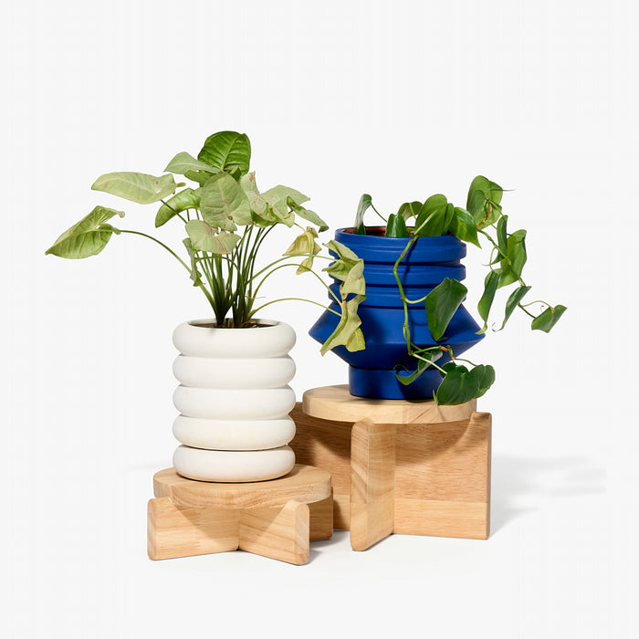 Areaware Pete Oyler Plant Pedestals