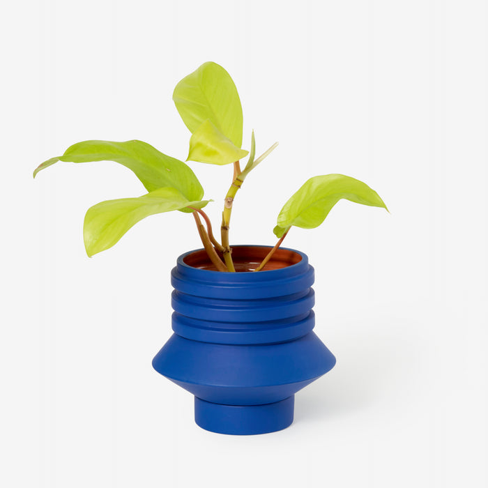 Areaware Simone Brewster Strata Plant Vessel