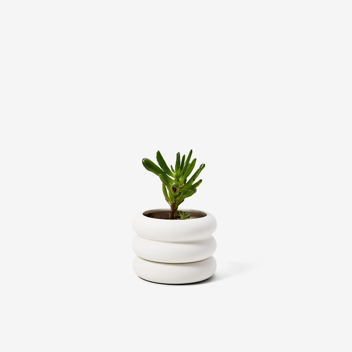 Areaware Chen Chen And Kai Williams Stacking Planter Mini - Short