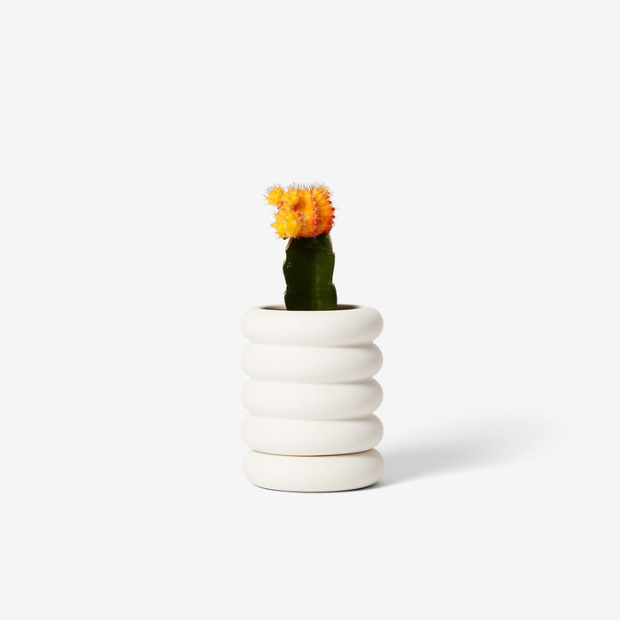 Areaware Chen Chen And Kai Williams Stacking Planter Mini - Tall