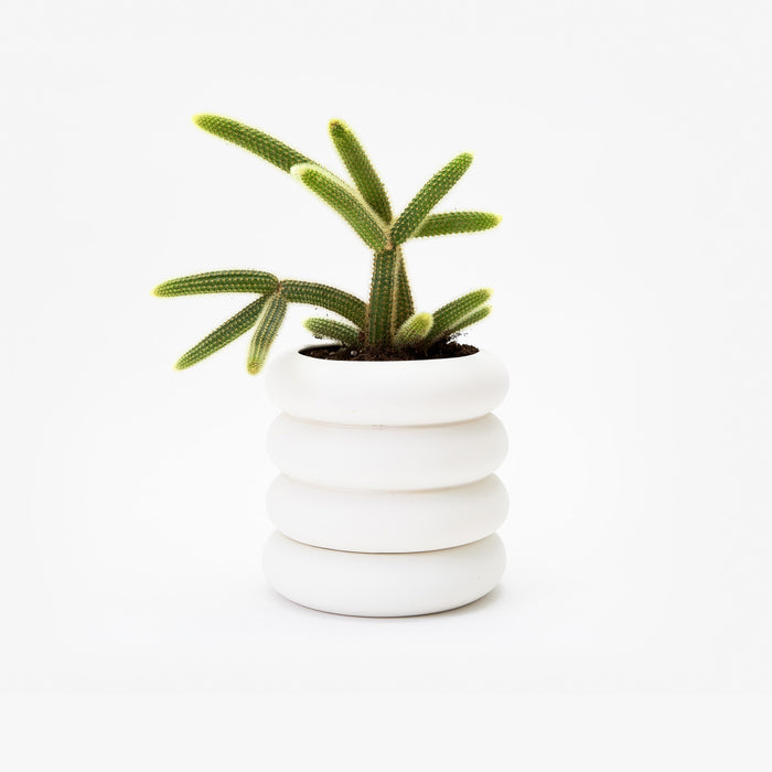 areaware Chen Chen and Kai Williams Stacking Planter - Tall