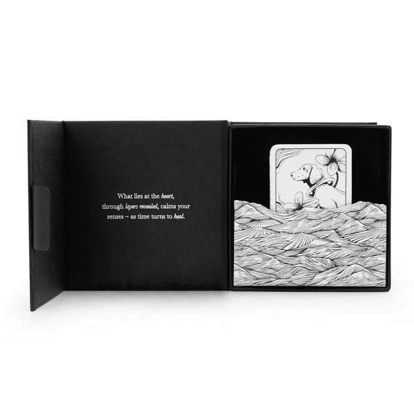 Argentum Balancing Silver Clay Mask