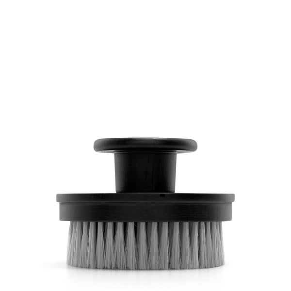 argentum exfoliating silver body brush