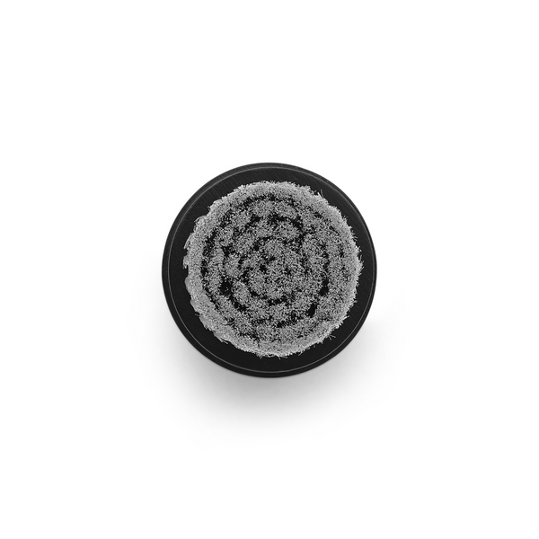 Argentum Exfoliating Silver Facial Brush