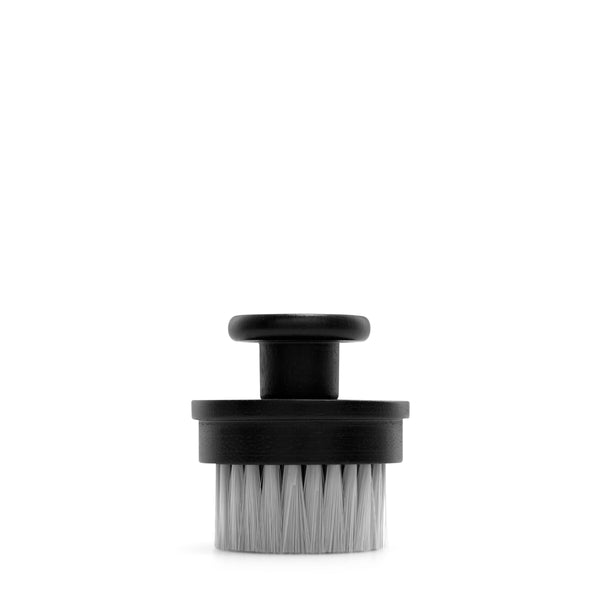 argentum exfoliating silver facial brush