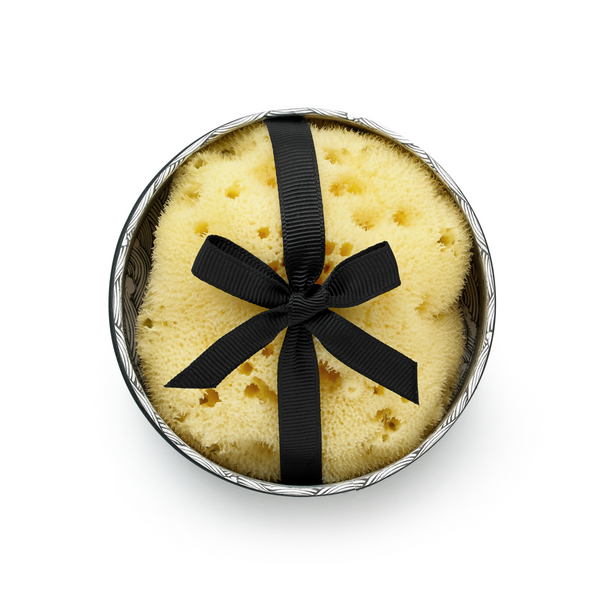 Argentum Fina Silk Sea Sponge