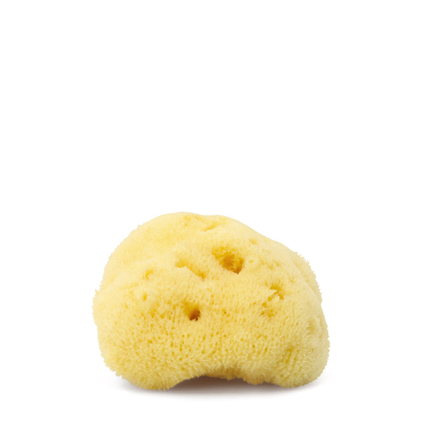 argentum fina silk sea sponge