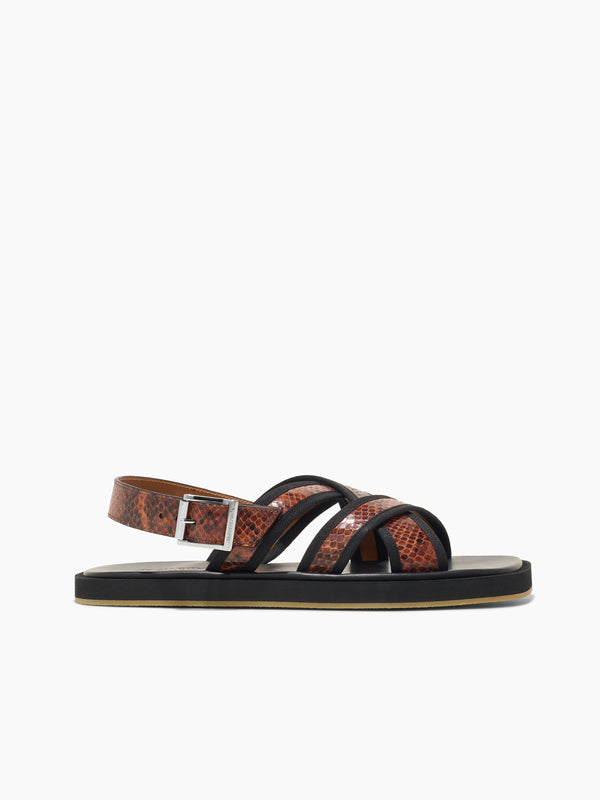 armando cabral COMPOTRA Buckle Strap Sandal in Cuoio