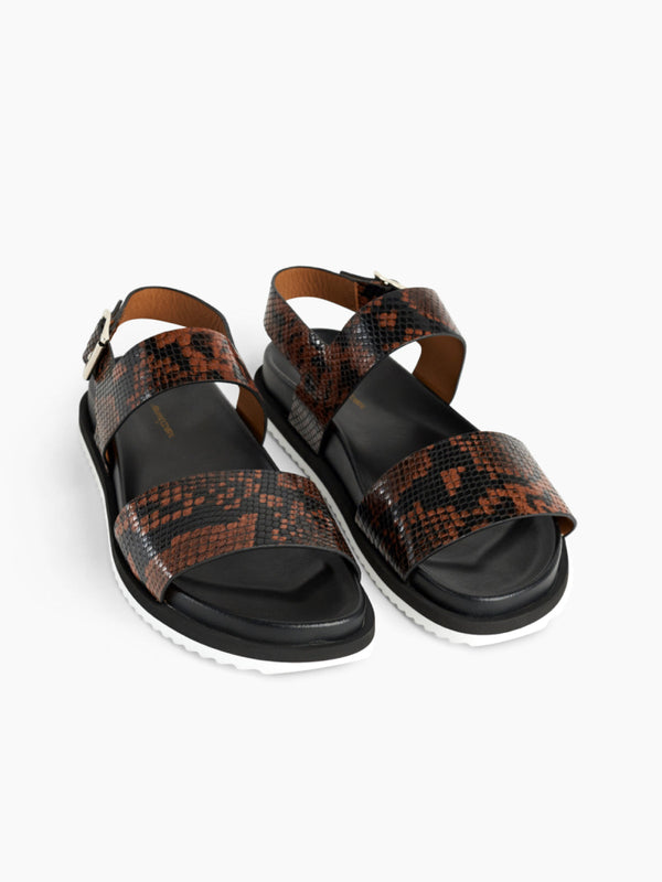 Armando Cabral MONSOA Buckle Strap Sandal In Python