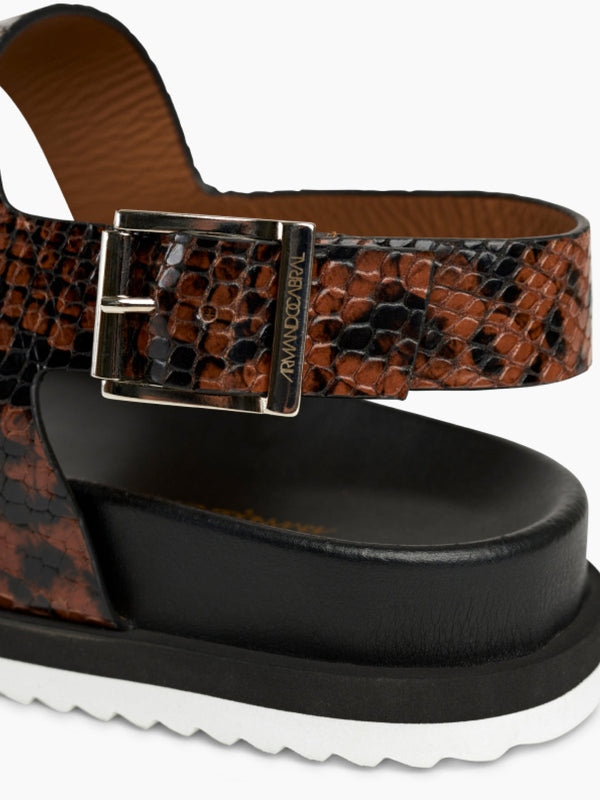 Armando Cabral MONSOA Buckle Strap Sandal In Python
