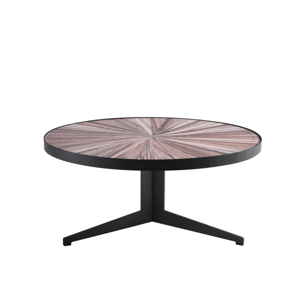 Armen Living Beka Coffee Table Wide