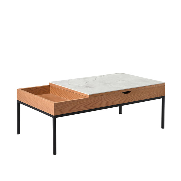Armen Living Reba Coffee Table