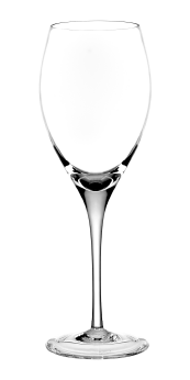 arnolfo di cambio Degustazione – calice champagne