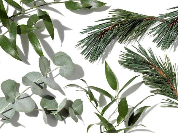 Aromatherapy Associates No Rinse Hand Cleanser