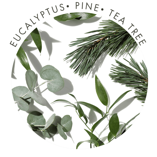 Aromatherapy Associates Spring Reset Bathing Duo