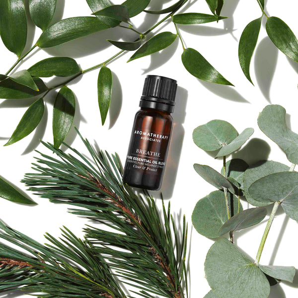 Aromatherapy Associates Support Breathe Pure Essential Oil Blend