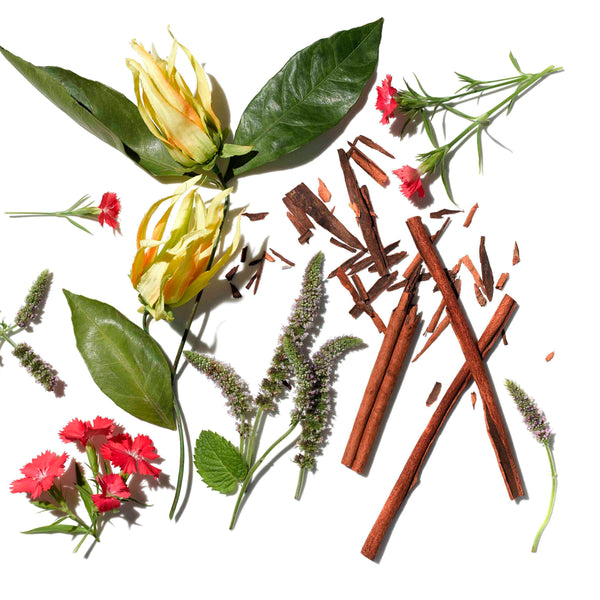 Aromatherapy Associates Travel Revive Evening Bath & Shower Oil