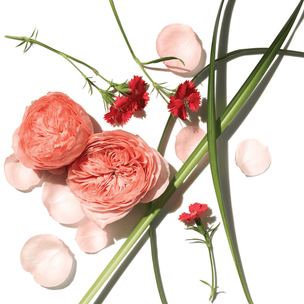 Aromatherapy Associates Travel Rose Indulgent Body Cream