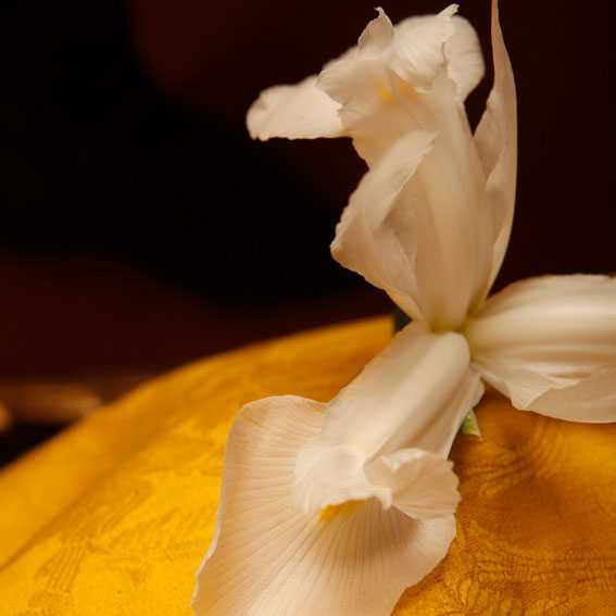 Arquiste Parfumeur FLEUR DE LOUIS Eau De Parfum