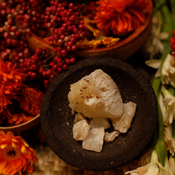 Arquiste Parfumeur FLOR Y CANTO Eau De Parfum 50ml / 1.7 Fl Oz