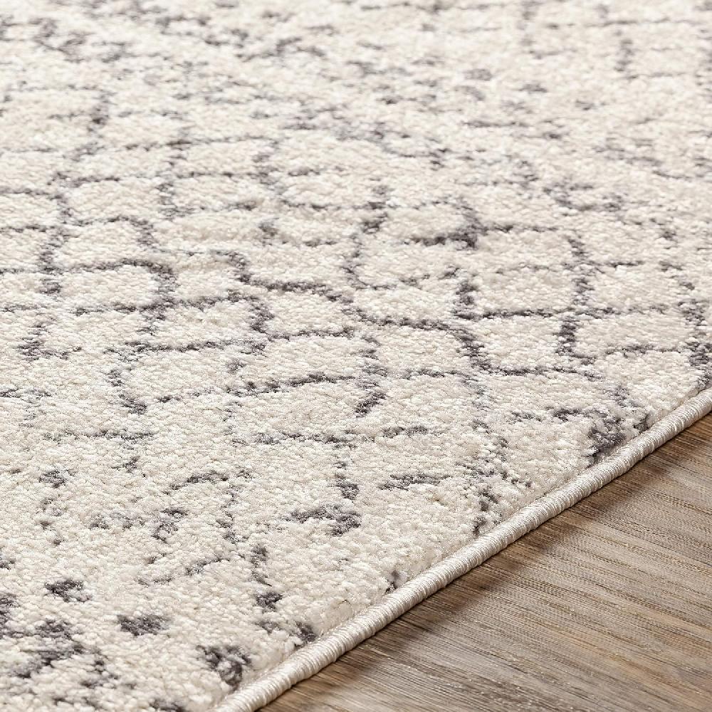 Artistic Weavers Artistic Weavers Cressida23145373 Cressida Area Rug 5’3″ X 7’3(Light Gray 5 Ft 3 In X 7 Ft 3 In)