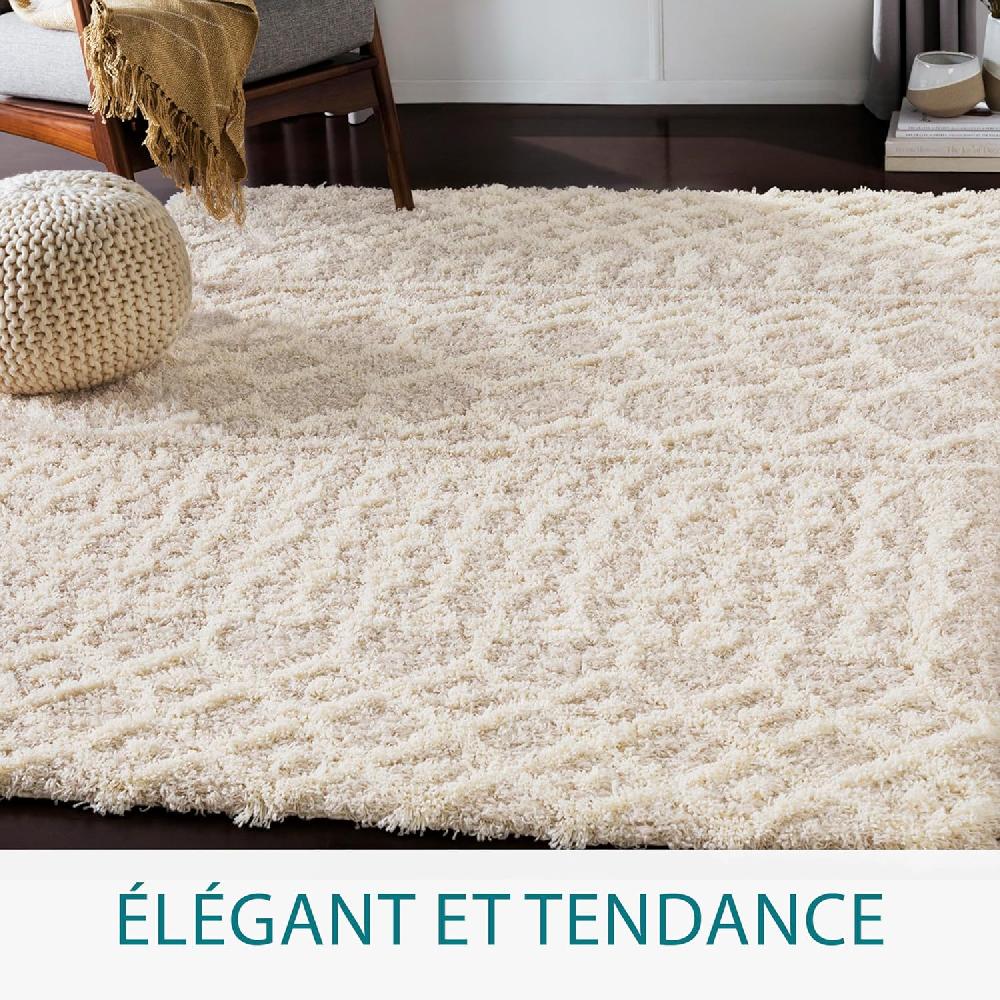 Artistic Weavers Artistic Weavers Hapsburg Moroccan Shag Area Rug 6’7″ X 9’6″ Beige(Beige 6 Ft 7 In X 9 Ft 6 In)