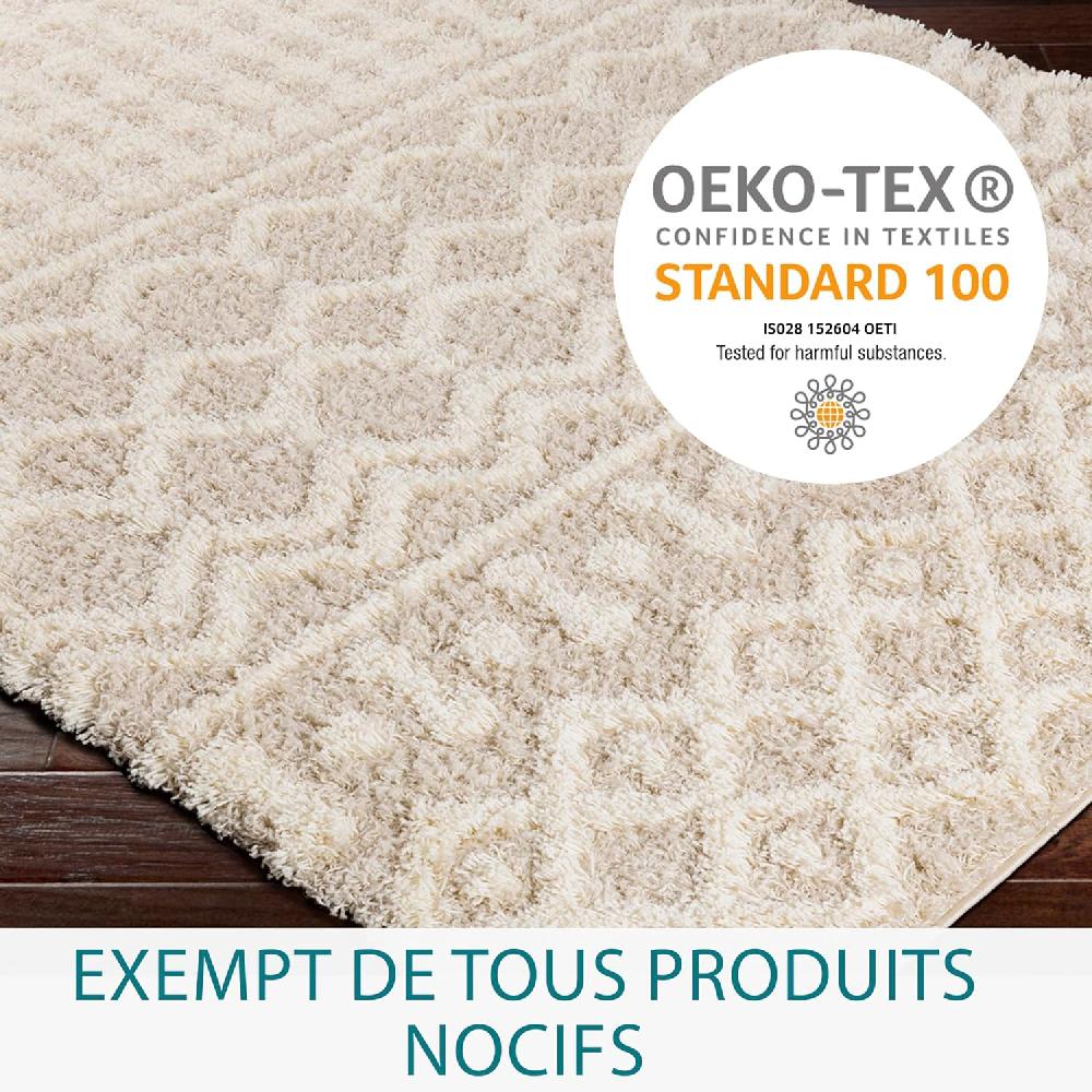 Artistic Weavers Artistic Weavers Hapsburg Moroccan Shag Area Rug 6’7″ X 9’6″ Beige(Beige 6 Ft 7 In X 9 Ft 6 In)