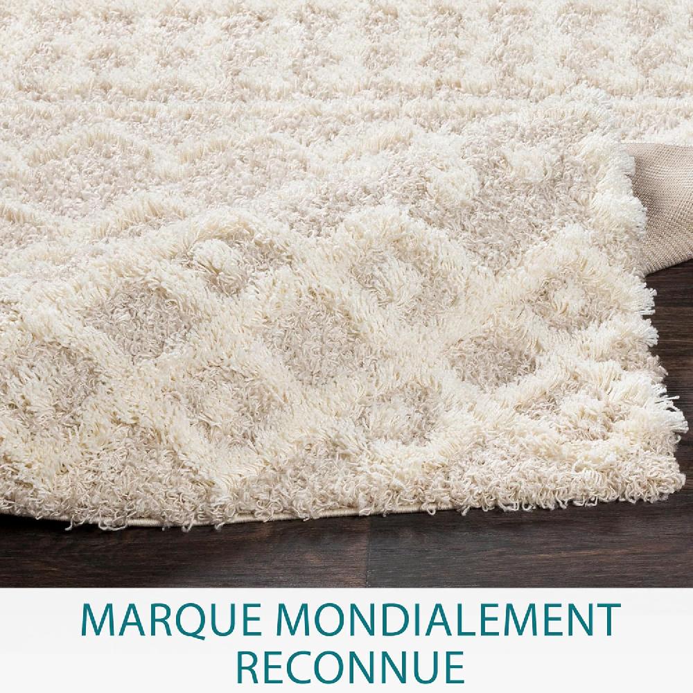 Artistic Weavers Artistic Weavers Hapsburg Moroccan Shag Area Rug 6’7″ X 9’6″ Beige(Beige 6 Ft 7 In X 9 Ft 6 In)