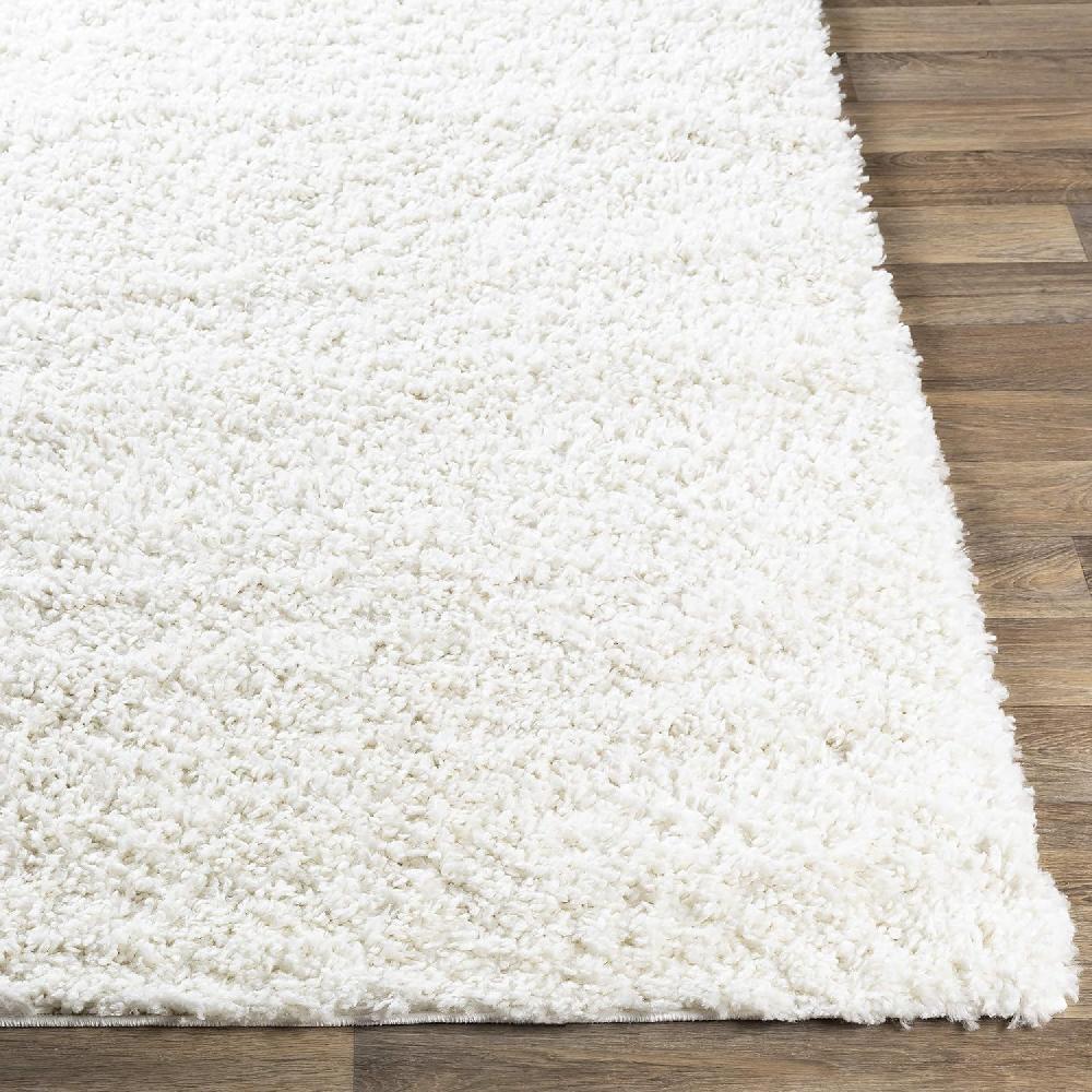 Artistic Weavers Artistic Weavers Kiana Area Rug 5 Ft 3 In X 7 Ft 3 In White(White 5 Ft 3 In X 7 Ft 3 In)