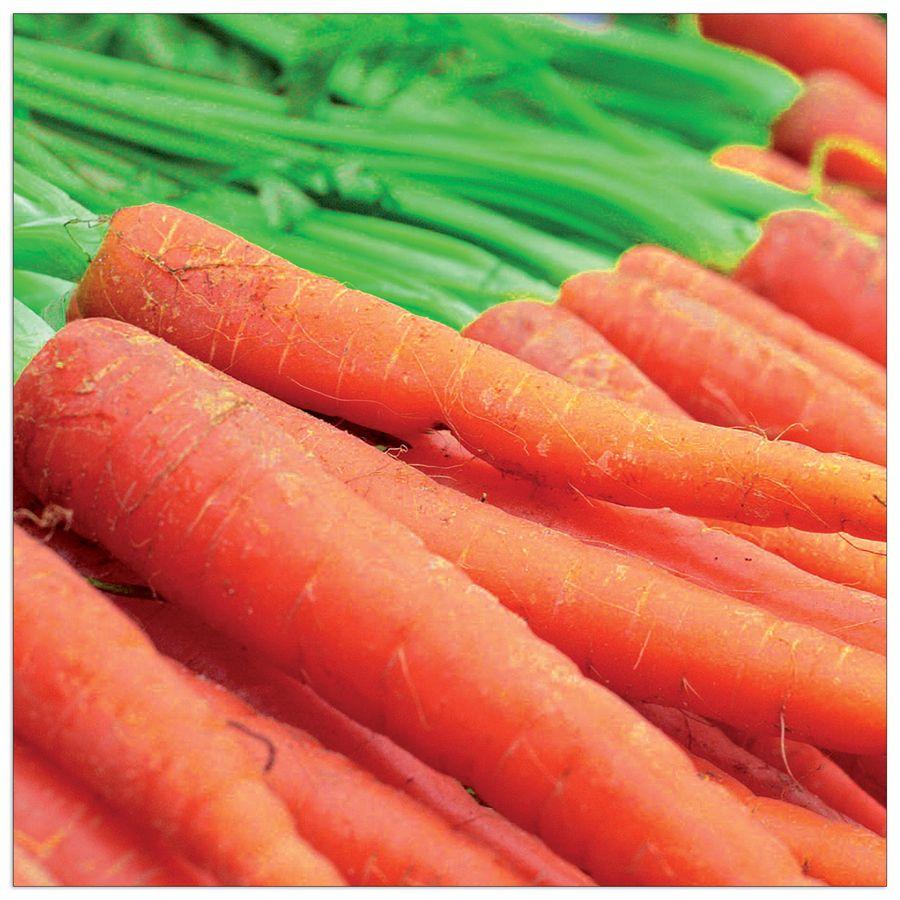 artopweb Anonymous - Carote Decorative MDF Panel (30x30cm)