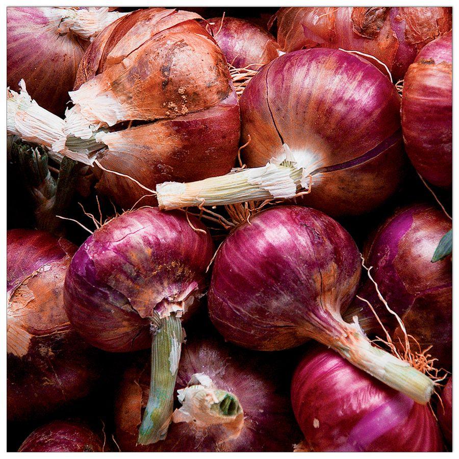 artopweb Anonymous - Cipolle Decorative MDF Panel (30x30cm)