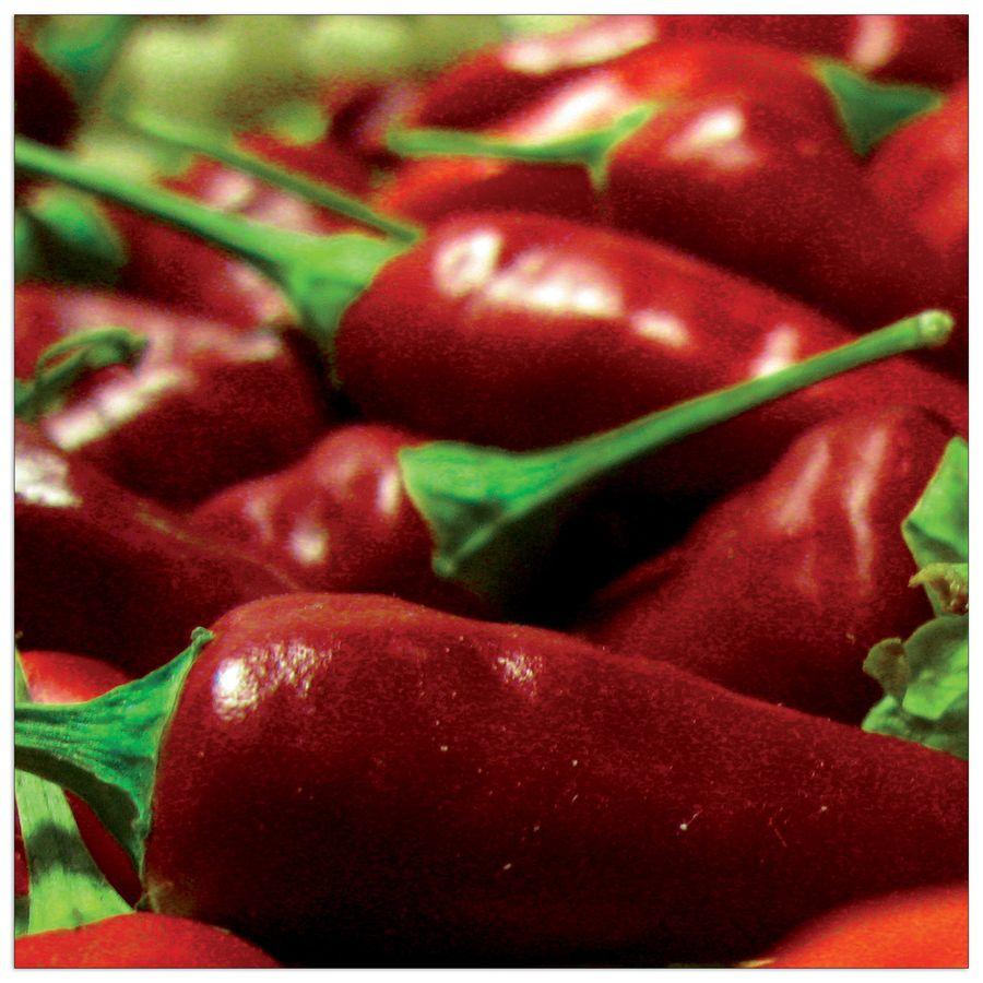 artopweb Anonymous - Peperoncini Decorative MDF Panel (30x30cm)