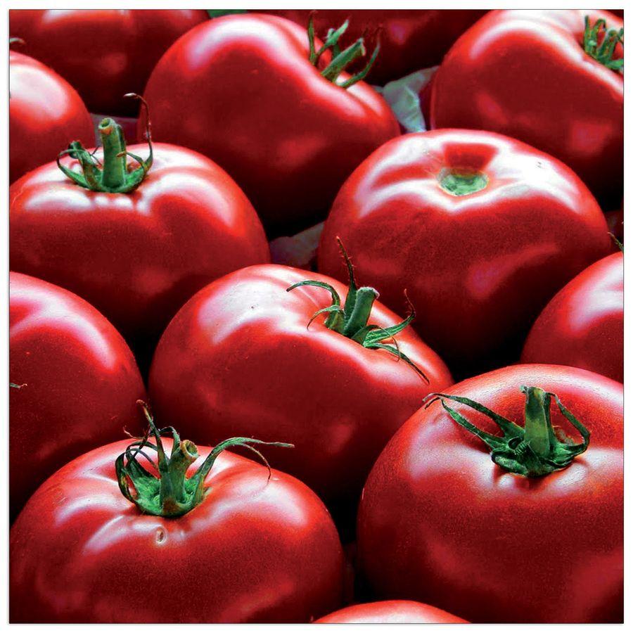 artopweb Anonymous - Pomodori Decorative MDF Panel (30x30cm)