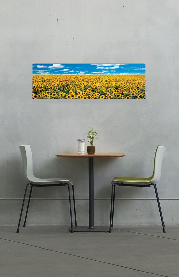 Artopweb Anthea Images - A Sunflower Field In Provence Decorative MDF Panel (138x43cm)