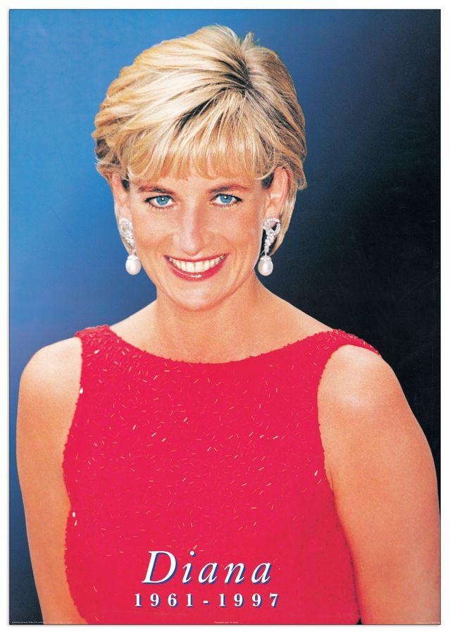 artopweb Null - Lady D Decorative MDF Panel (60x86cm)