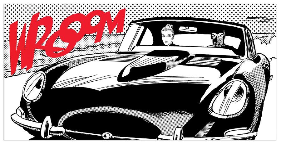 artopweb Astorina - Sfrecciando Insieme Decorative MDF Panel (100x50cm)