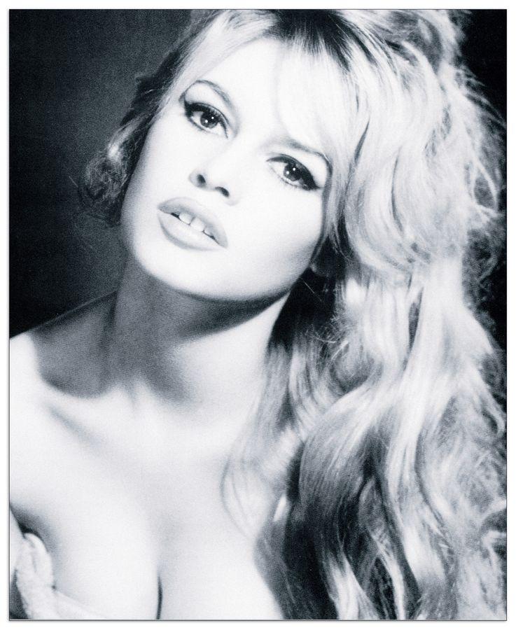 artopweb Bardot - Brigitte Bardot Decorative MDF Panel (36x44cm)