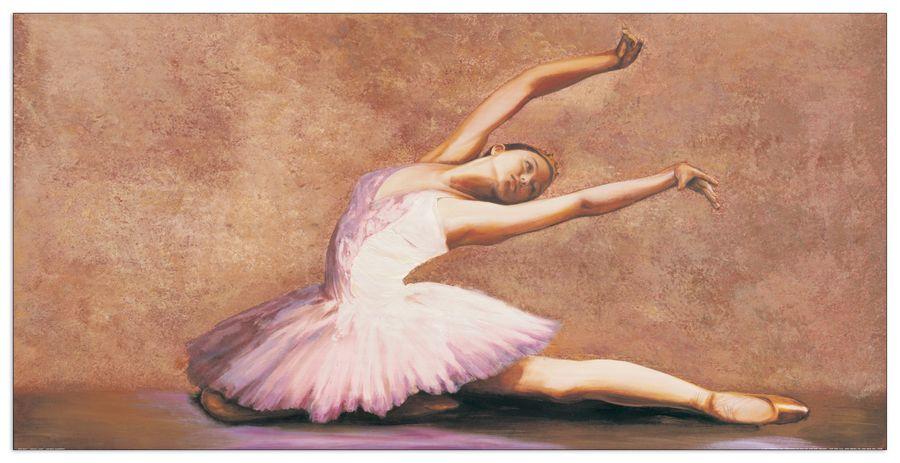 artopweb Bassetti - Swan Lake Decorative MDF Panel (100x50cm)