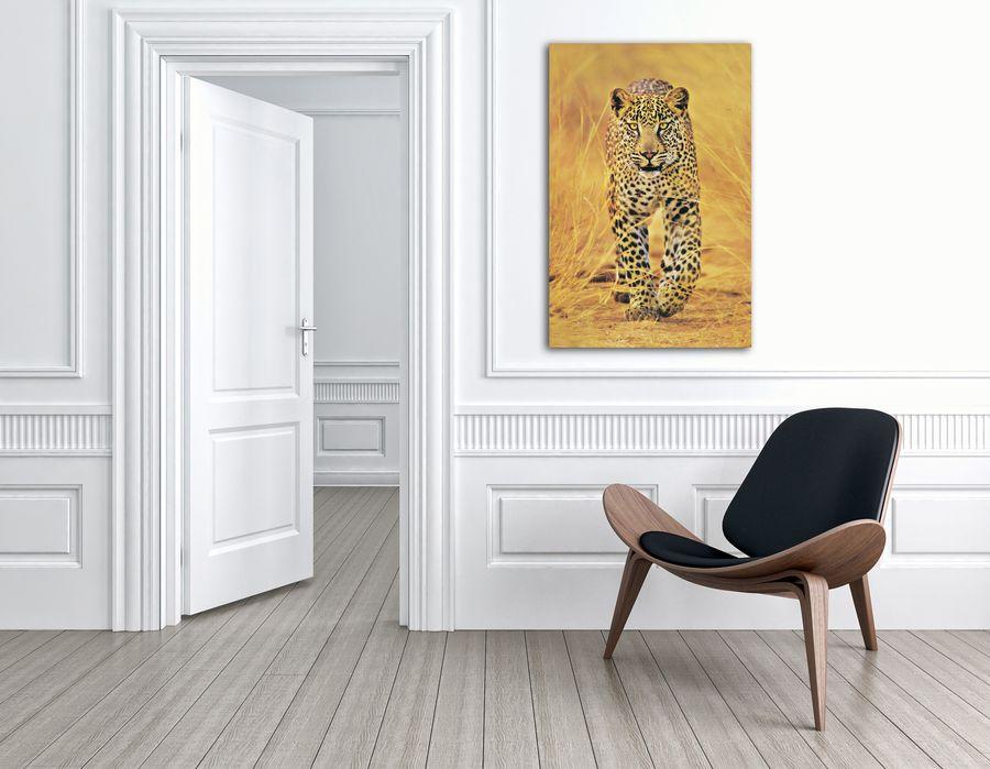 Artopweb Cheetah The Big Cat Decorative MDF Panel (60x90cm)