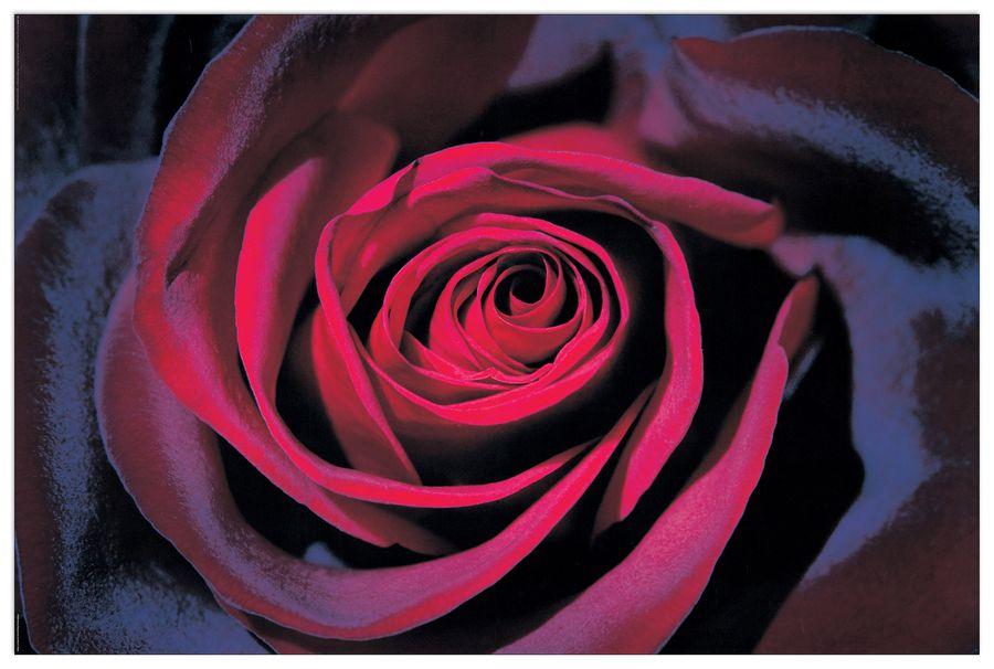 artopweb Dark - Purple Rose Decorative MDF Panel (90x60cm)