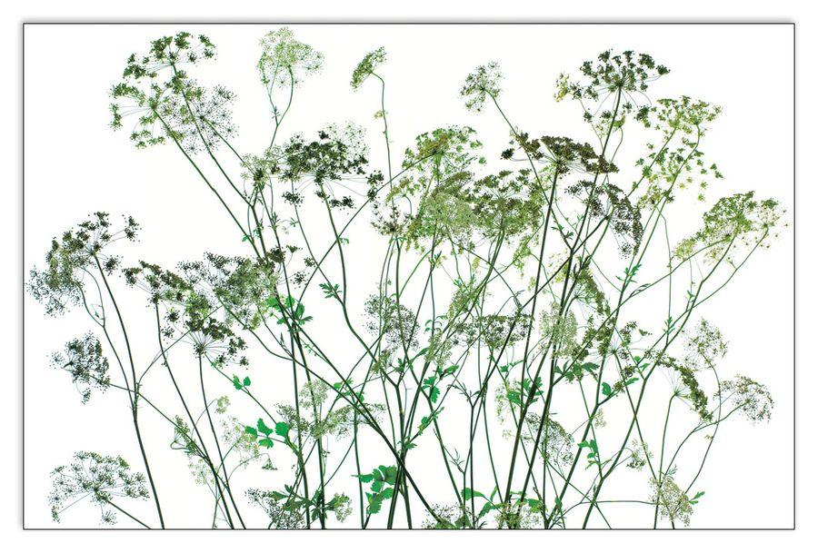 artopweb Dave Brullmann - Silhouettes Decorative MDF Panel (175x115cm)