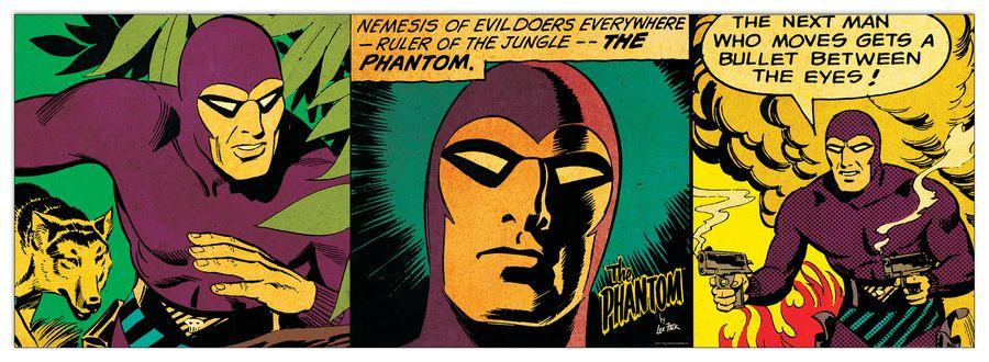 artopweb Falk - Ruler Of The Jungle Decorative MDF Panel (138x48cm)