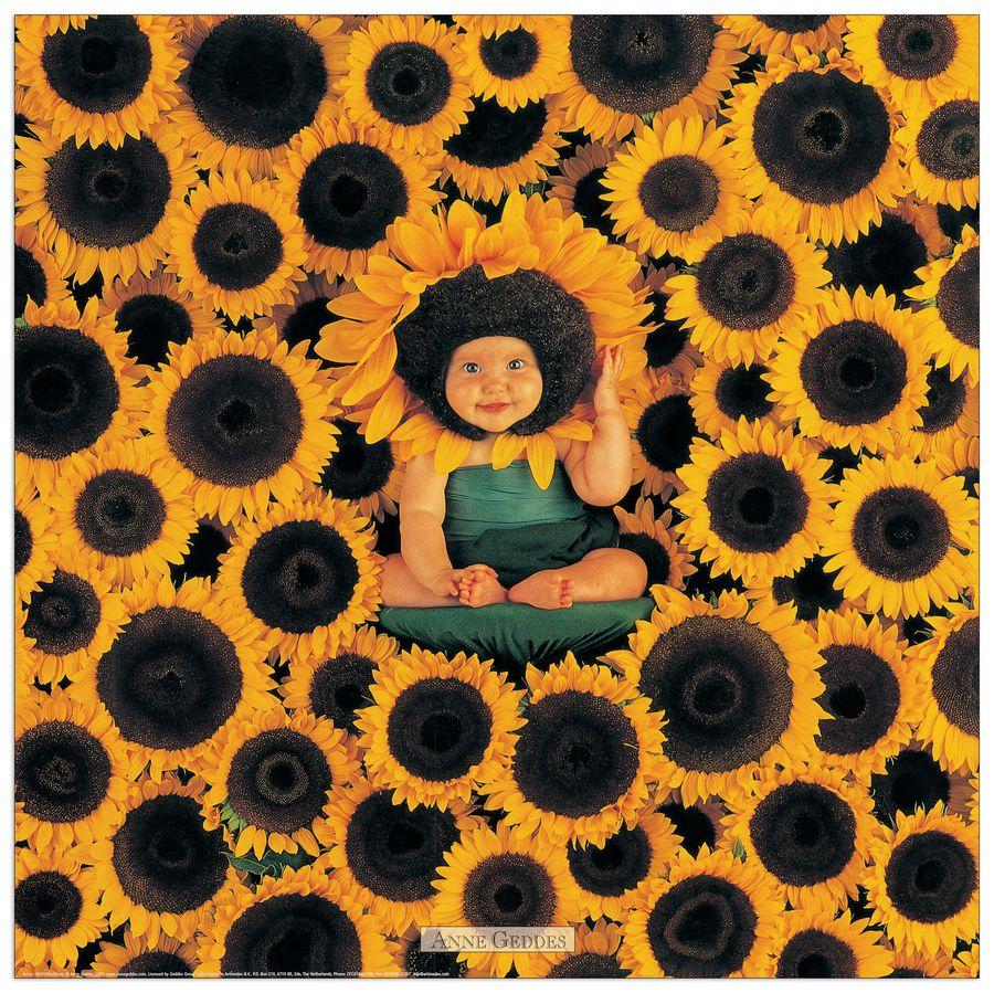 artopweb Geddes - Senza Titolo Decorative MDF Panel (50x50cm)