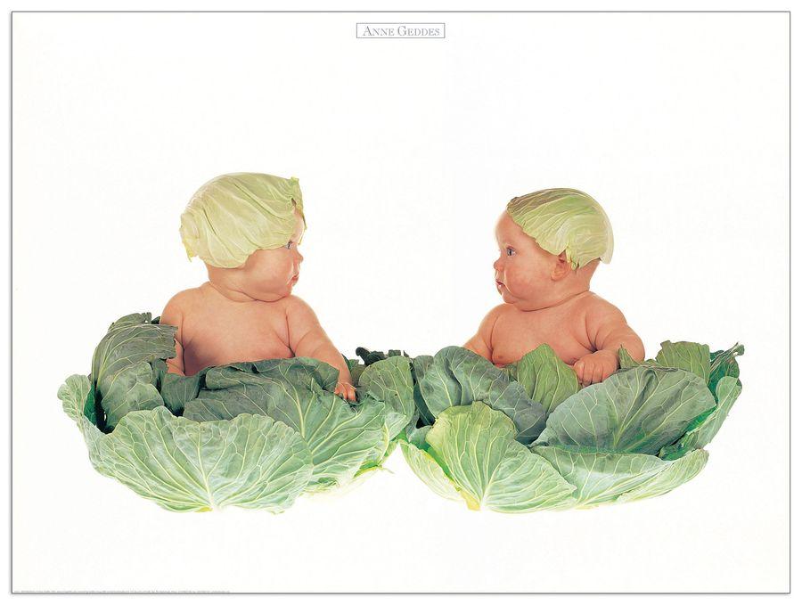 artopweb Geddes - Senza Titolo Decorative MDF Panel (80x60cm)